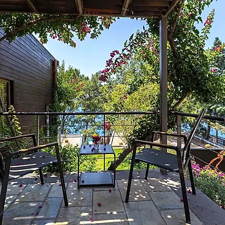 Hotel Miamai Boutique - Adult Only 3*